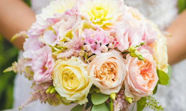 pexels-valeriya-595452